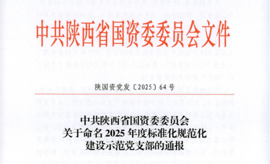 喜报|凌峰环球印务党支部荣获“陕西省国资委2025年度标准化规范化建设示范党支部”荣誉称号